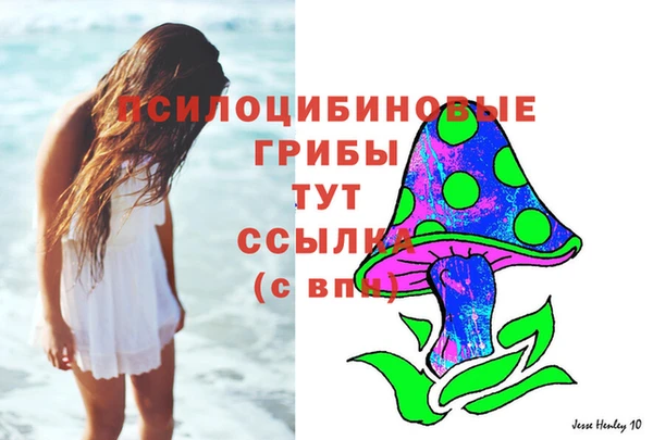 метадон Аркадак
